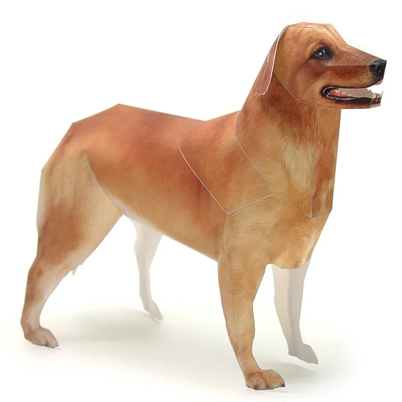 Art Craft Cardboard - Golden Retriever Cane Modello di Carta
