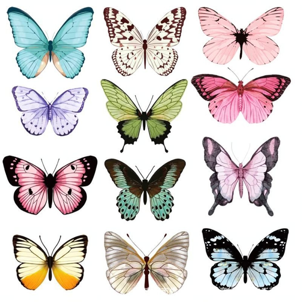 Adesivi murali in PVC a forma  - Art And Craft For Nursery recensione e prezzo